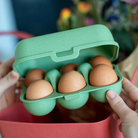 Koziol Eggs To Go Egg Box Mini