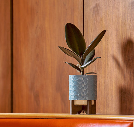 House your Plants Beautifully with Stylish Indoor Plant Pots
