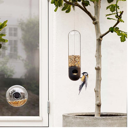 Treat Feathered Friends to a Snack with Designer Garden Feeders