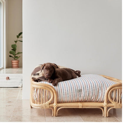 Treat a Pooch to Luxury Products for Relaxation