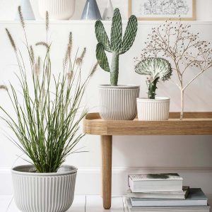 House Your Home Plants Beautifully Throughout the Year