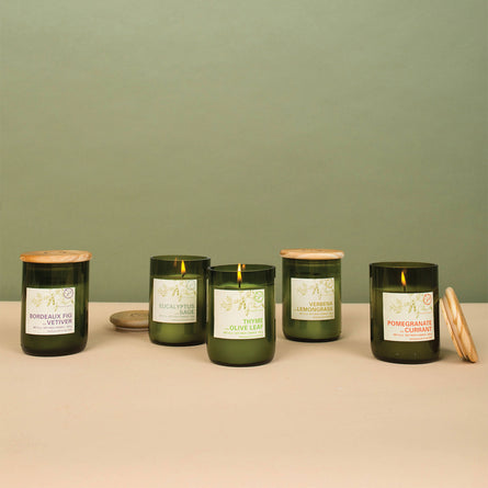 Paddywax Eco Green Fragranced Candle 226g in Recycled Glass Jar