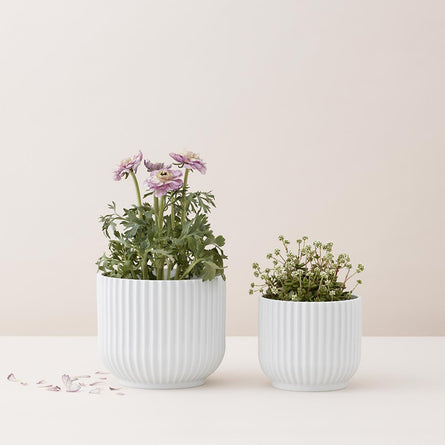 Lyngby Porcelaen Lyngby Flowerpot White Porcelain