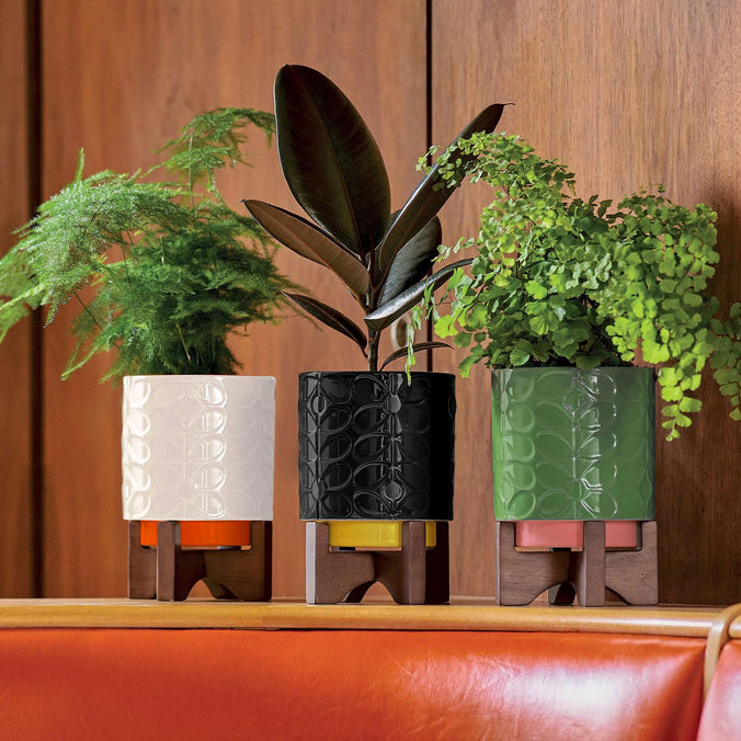 Orla Kiely 60's Stem Debossed Ceramic Plant Pot on Wooden Stand